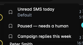 Saved views quick access