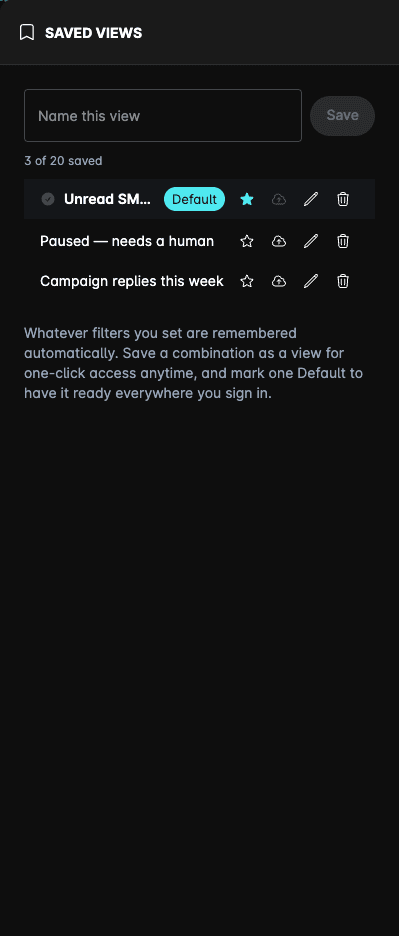 The Saved Views panel
